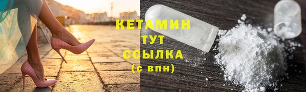 гашик Алексин