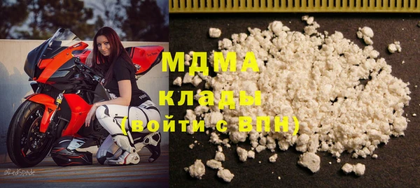 гашик Алексин